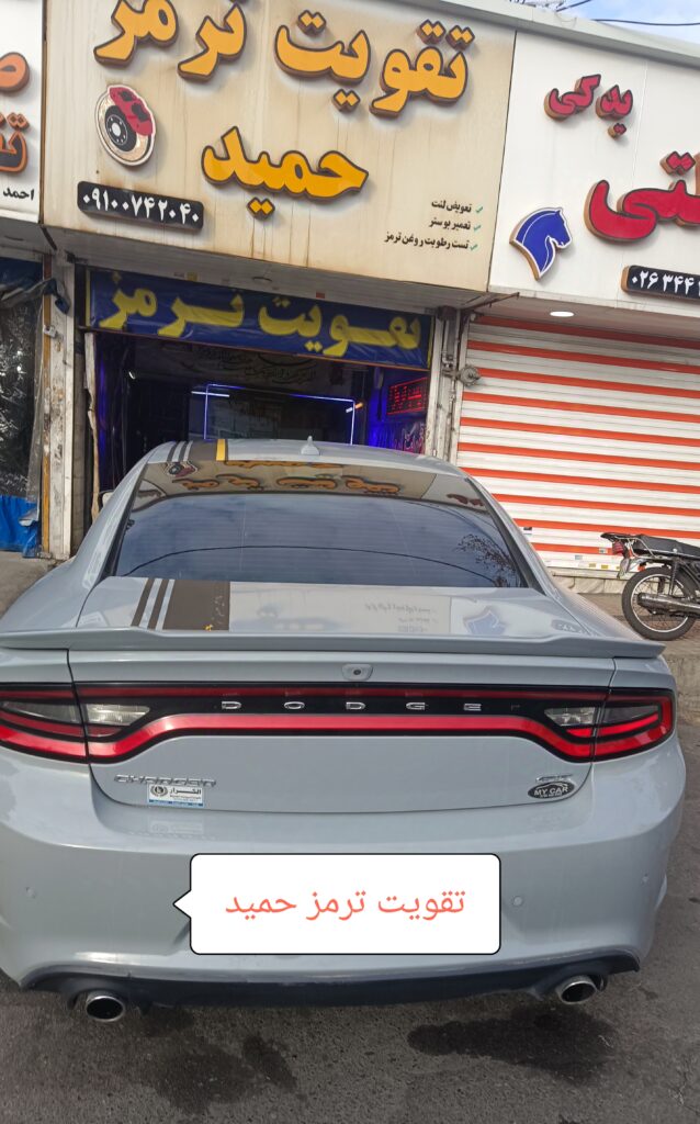 چکاپ ترمز دوج